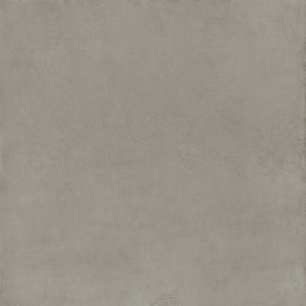 Image sans description