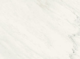 PREMIUM WHITE
