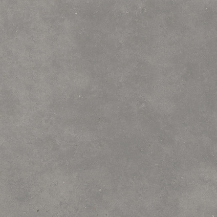 GREY FJORD